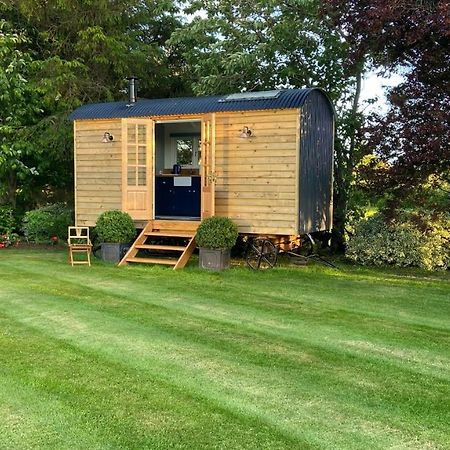 Bannfield Shepherds Hut バリマネー エクステリア 写真